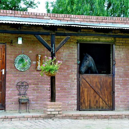 Owls Loft Guest House Midrand Ngoại thất bức ảnh