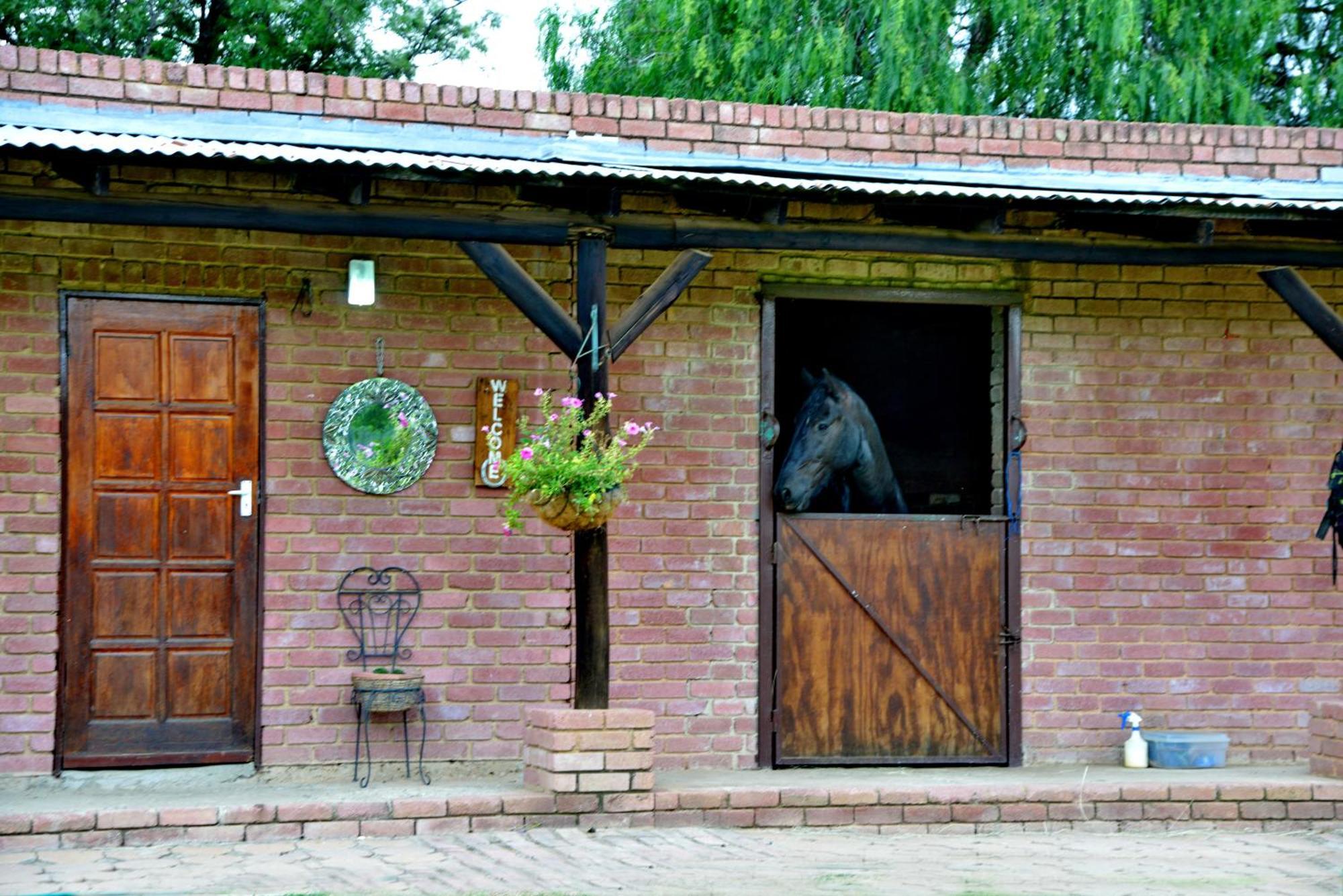 Owls Loft Guest House Midrand Ngoại thất bức ảnh