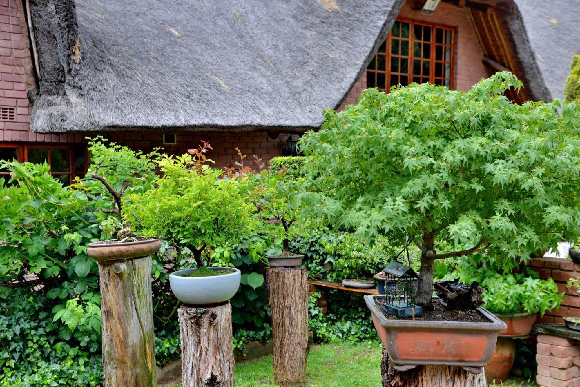 Owls Loft Guest House Midrand Ngoại thất bức ảnh